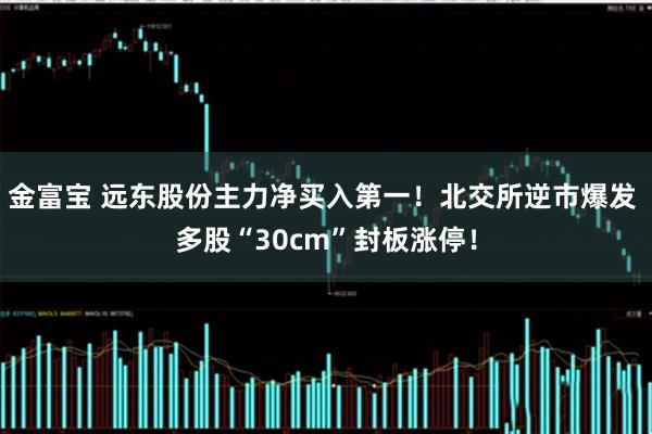 金富宝 远东股份主力净买入第一！北交所逆市爆发 多股“30cm”封板涨停！
